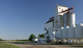 Web Grain Elevators