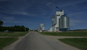 Web Grain Elevators