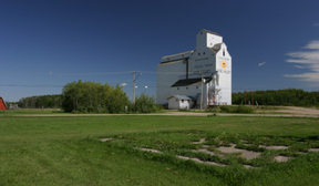 Web Grain Elevators
