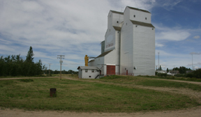 Web Grain Elevators