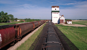 Wauchope Grain Elevator