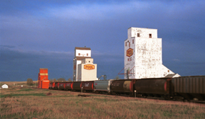 Web Grain Elevators