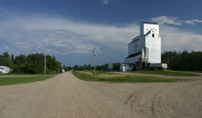 Web Grain Elevators