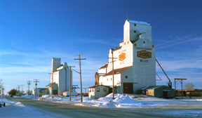 Wilkie Grain Elevators