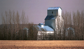 Yellow Creek Farm Grain Elevator